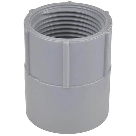 CARLON CTN Conduit Adapter, 114 in FPT x Socket, 16364 in Dia, 2 in L, PVC E942GR